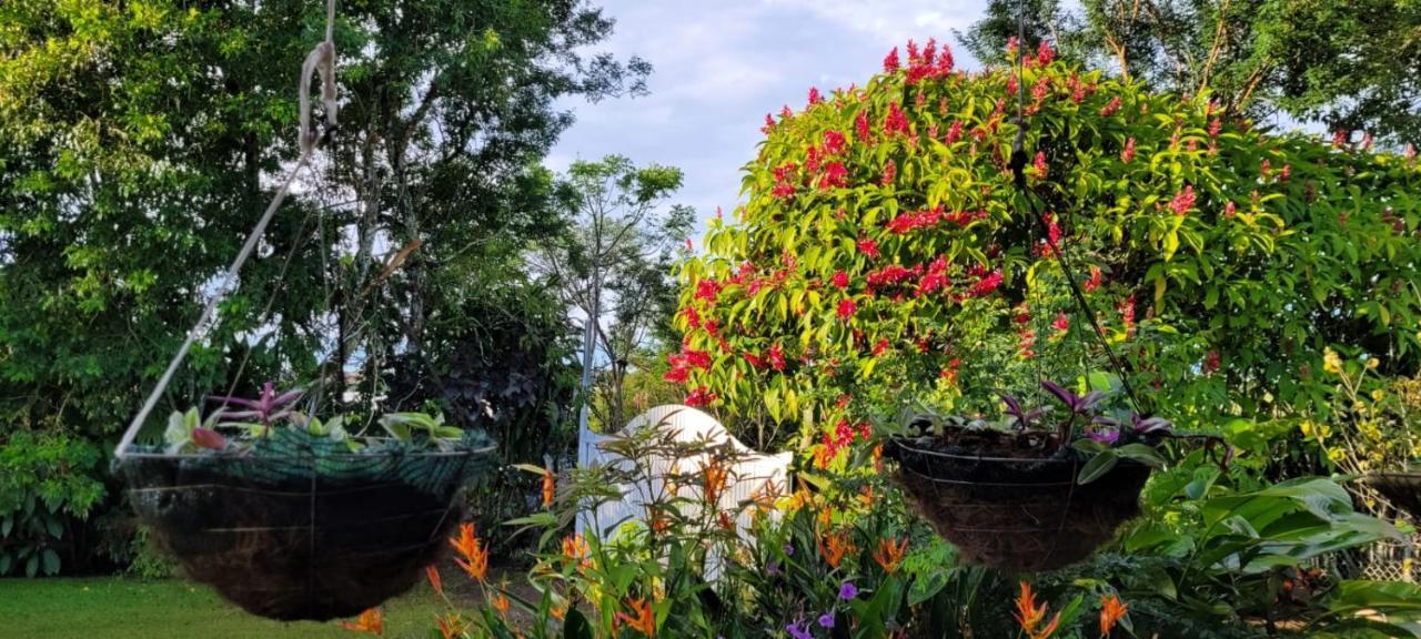 Hospedaje Finca Agroturistica Dona Rufa Rio Sereno Exterior photo